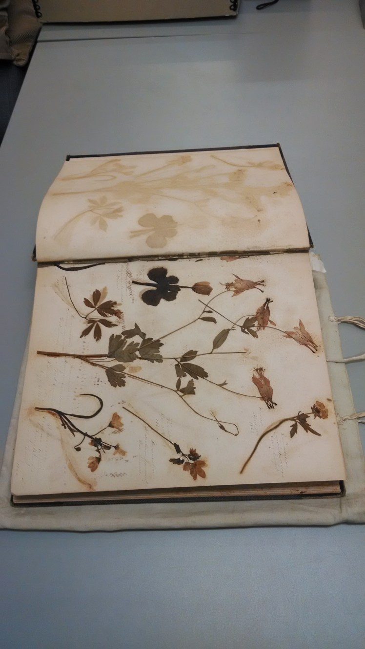 IMG_20141025_113015083