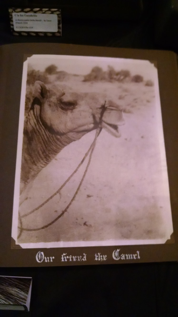 IMG_20151015_175036826