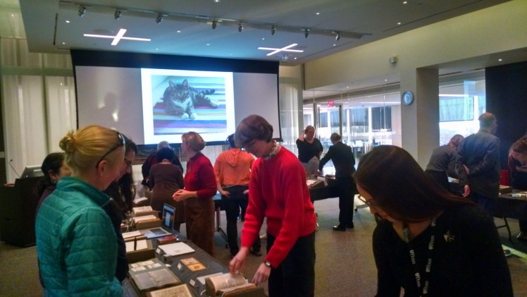 IMG_20151015_175422228_HDR